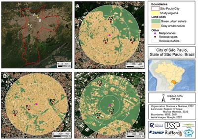 Release experiments as an indicator of flying activities of stingless bees in urban areas